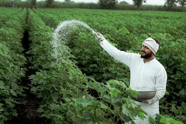 Agrochemical Industry